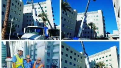 Our Team in Action Photo